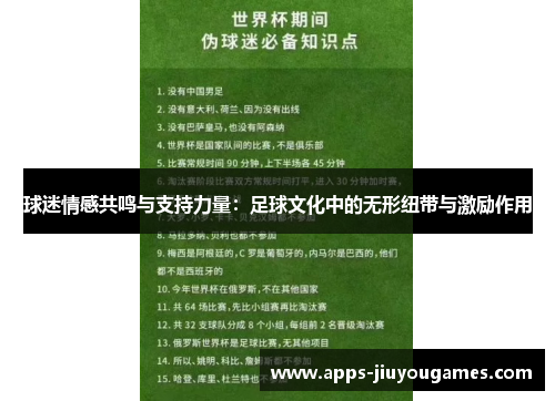 球迷情感共鸣与支持力量：足球文化中的无形纽带与激励作用