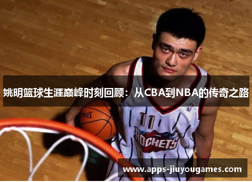 姚明篮球生涯巅峰时刻回顾：从CBA到NBA的传奇之路
