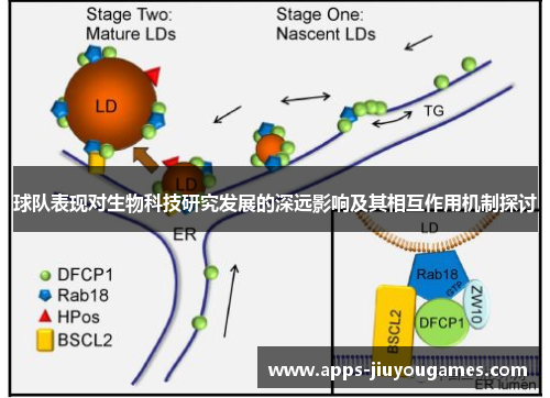 球队表现对生物科技研究发展的深远影响及其相互作用机制探讨