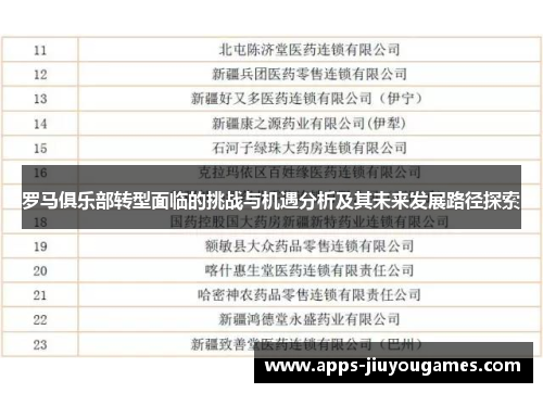 罗马俱乐部转型面临的挑战与机遇分析及其未来发展路径探索
