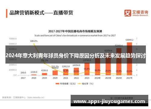 2024年意大利青年球员身价下降原因分析及未来发展趋势探讨